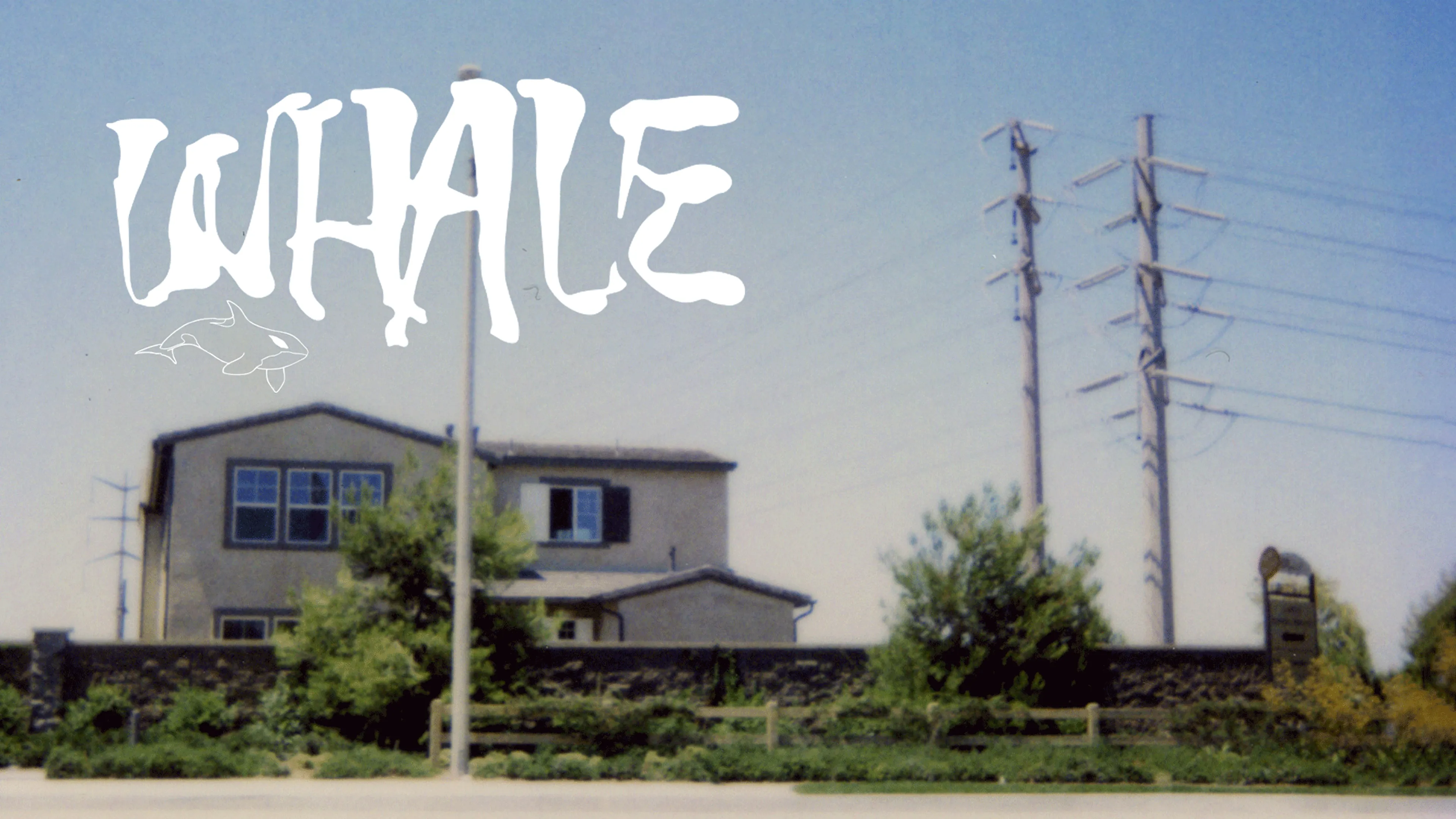 Whale poster